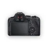 دوربین دیجیتال بدون آینه کانن مدل EOS R6 Mark II - تصویر 6